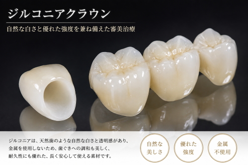 ジルコニアクラウンの構造を示す例示写真